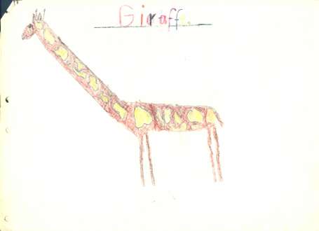 "Bielder"  Giraffe